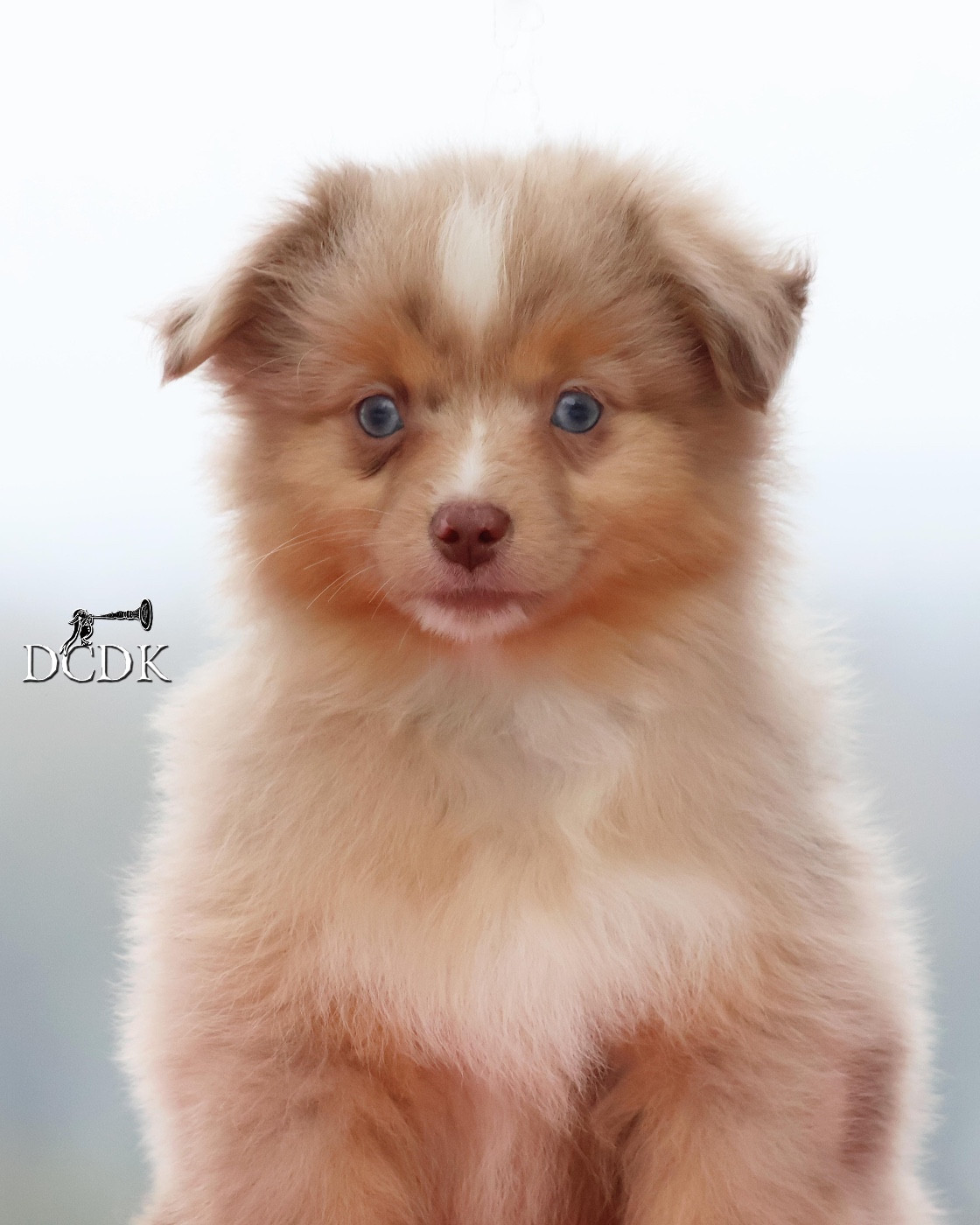 All's Well That Ends Well