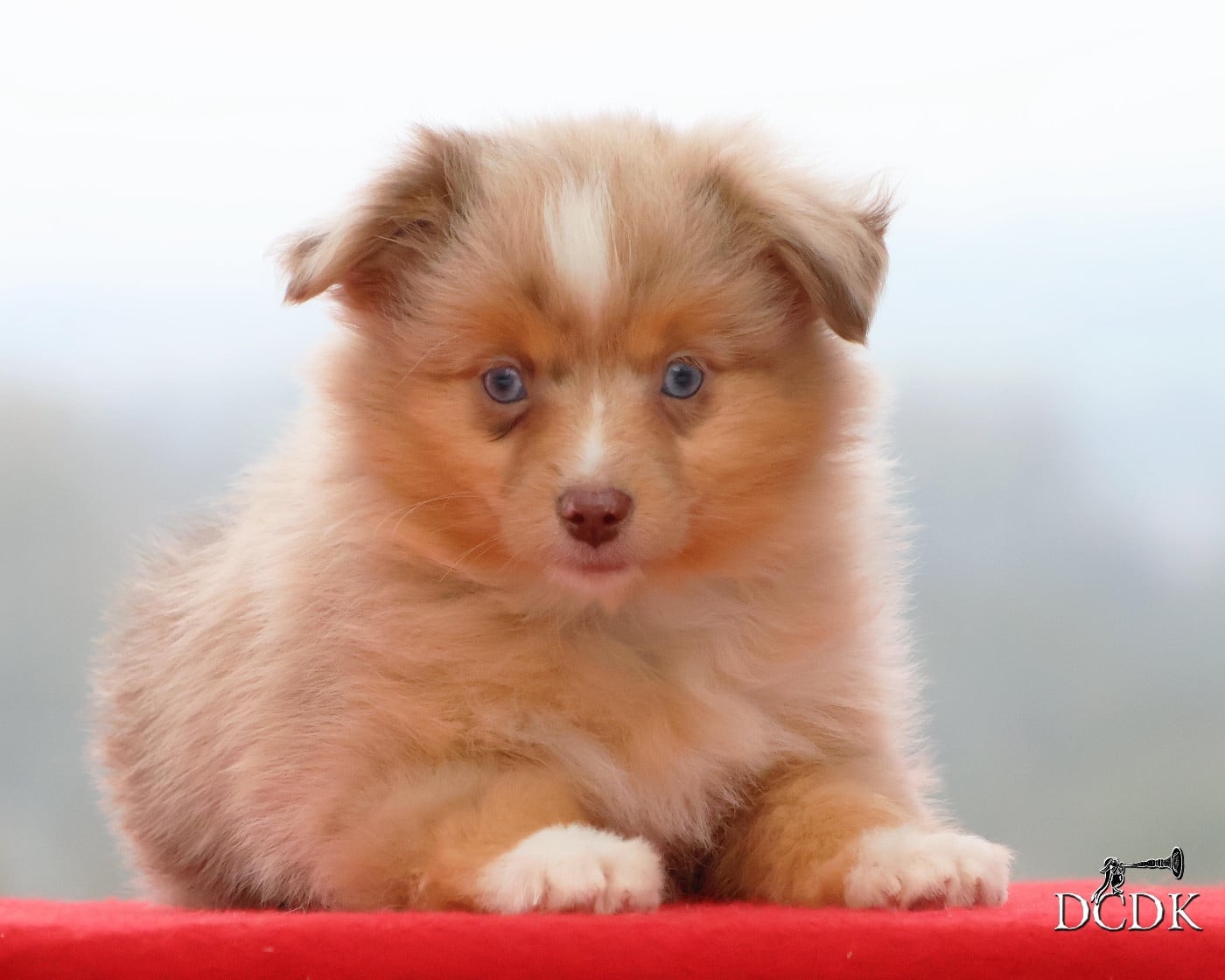 All's Well That Ends Well