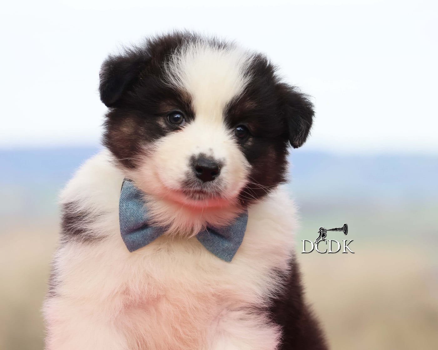 Apex - Berger Australien