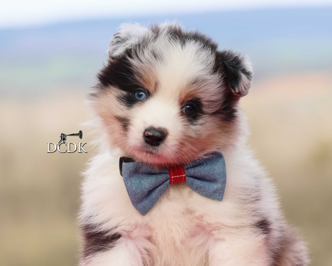 Aspen Wood - Berger Australien