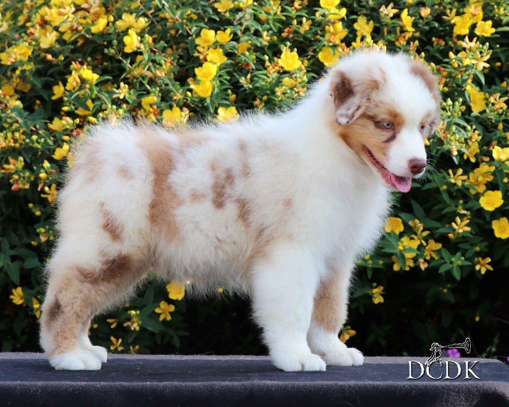 Aberdeen Bottle Beach