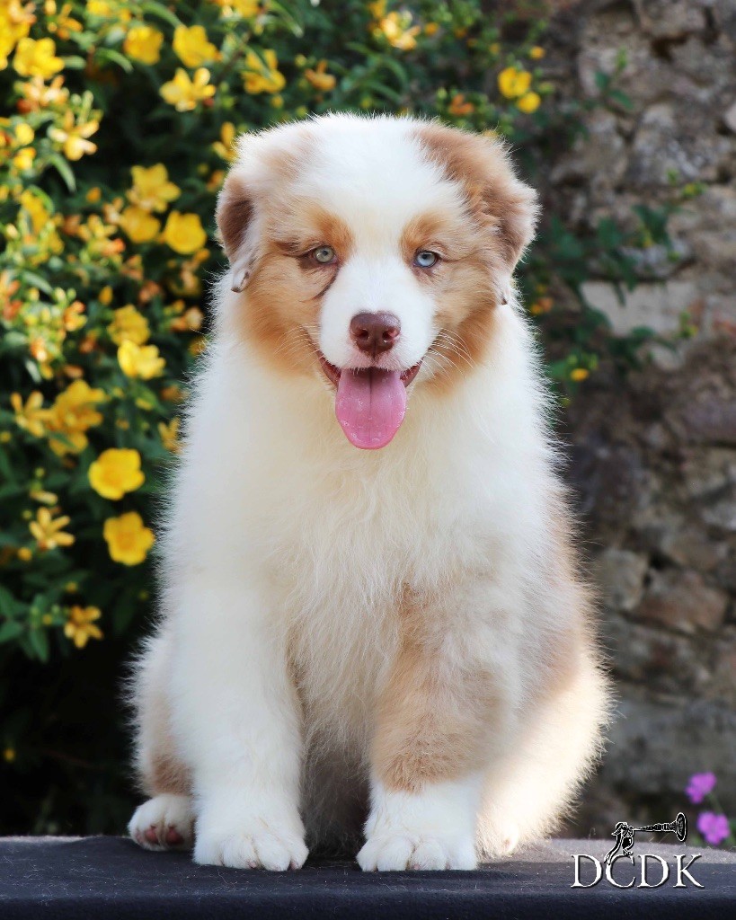 Aberdeen Bottle Beach