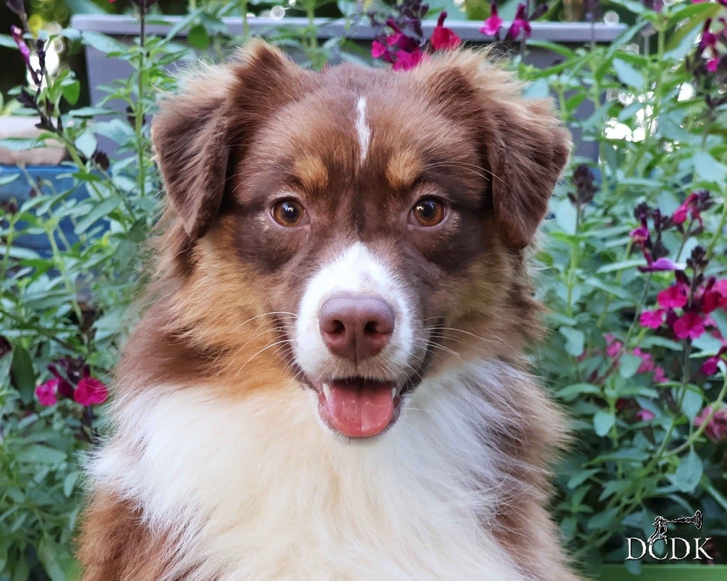 All you need is love