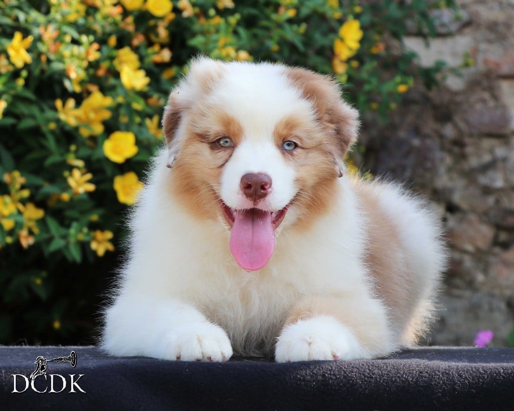 Aberdeen Bottle Beach