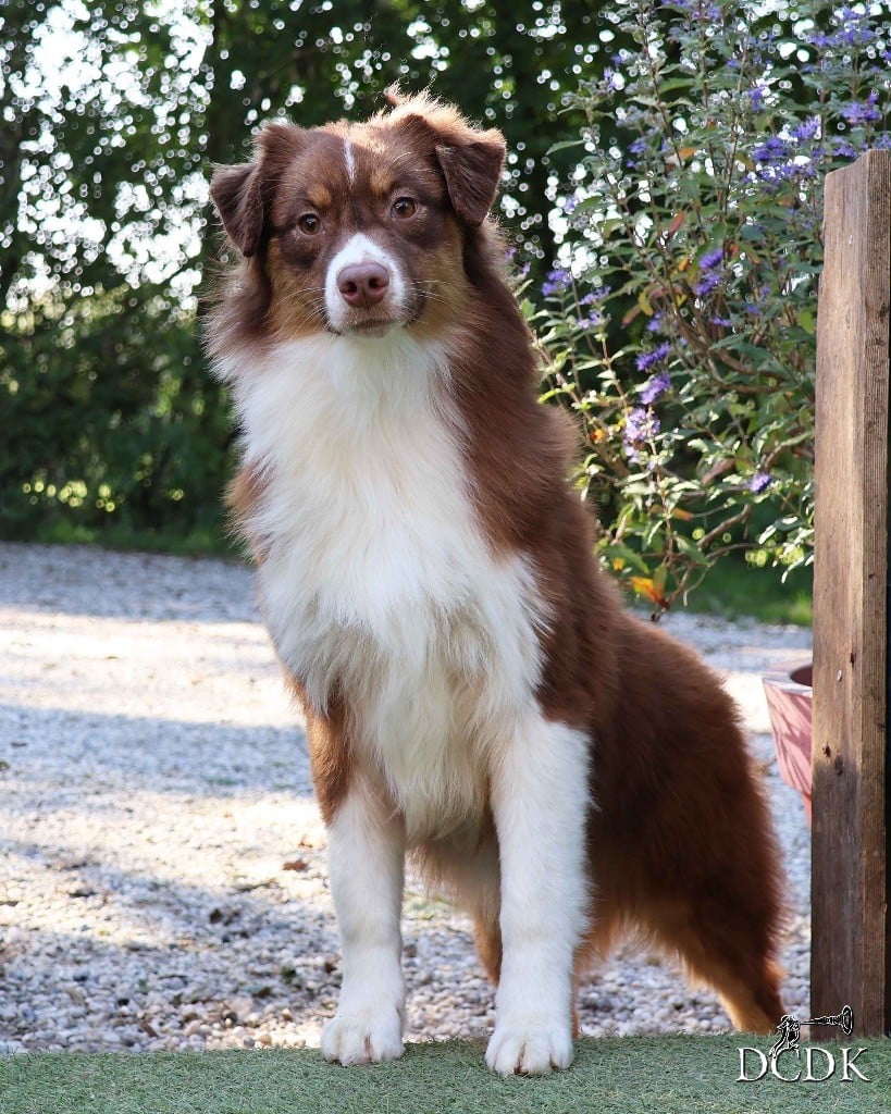 All you need is love