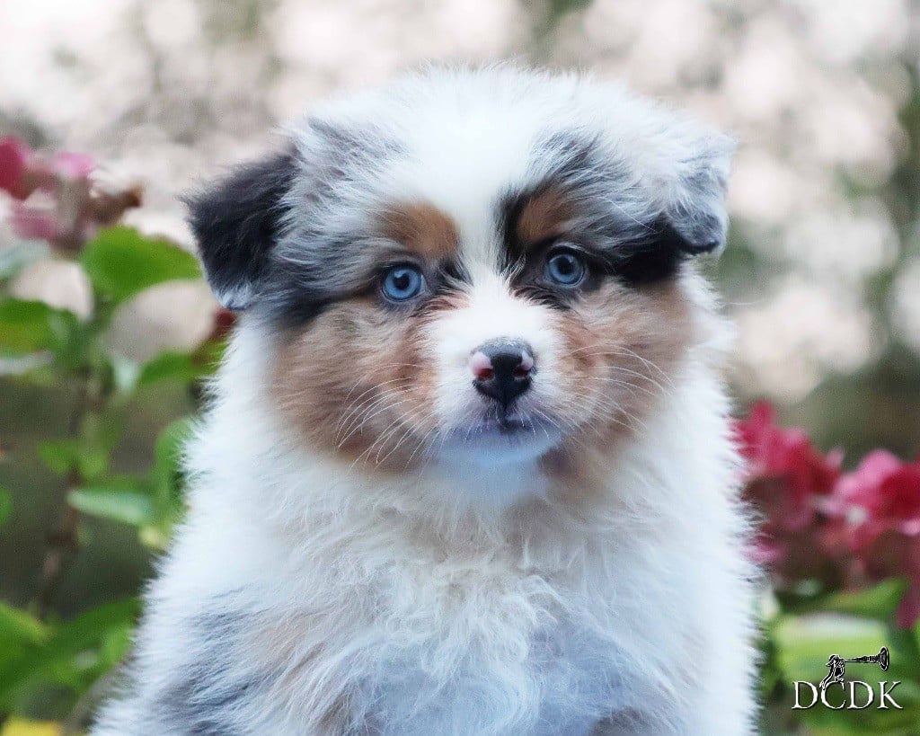 Autumn Rain Whispers