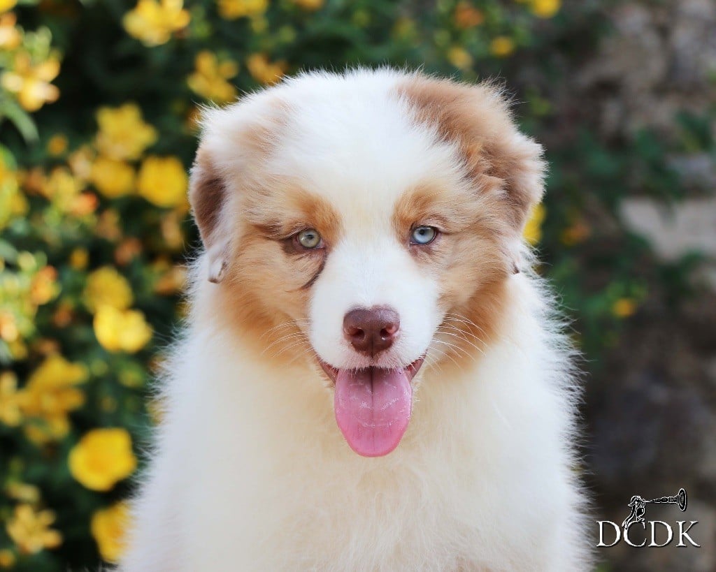 Aberdeen Bottle Beach