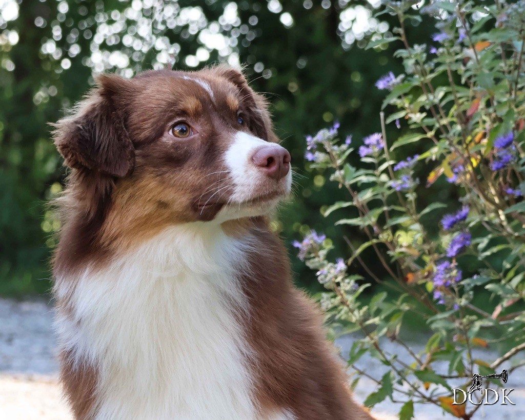 All you need is love