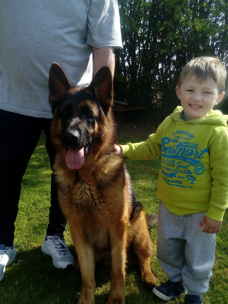 Publication : des trois fils Aymonds