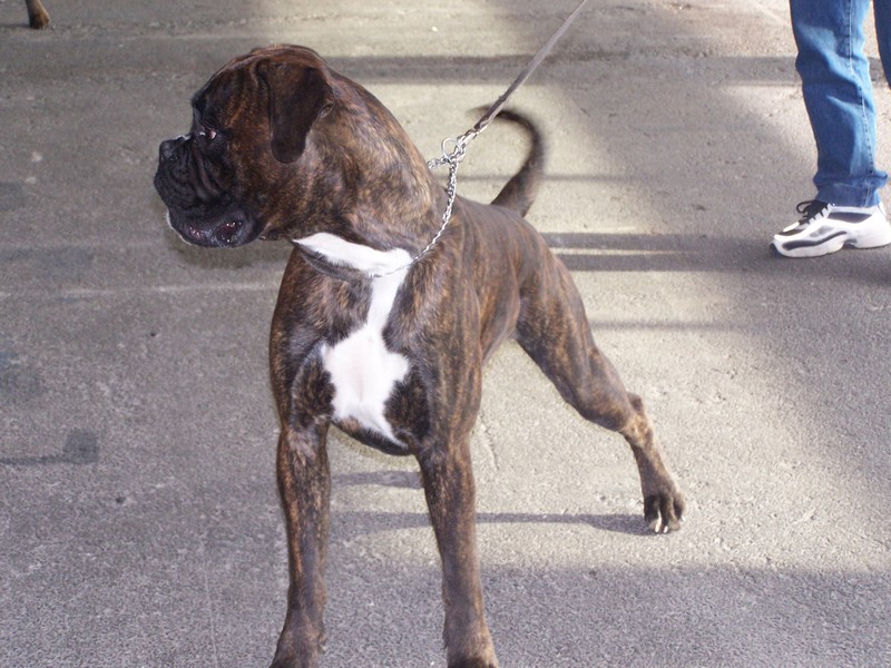 Publication : di Tagliamento