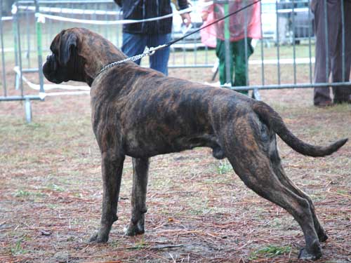 Publication : di Tagliamento