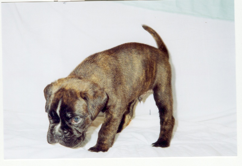 Publication : di Tagliamento