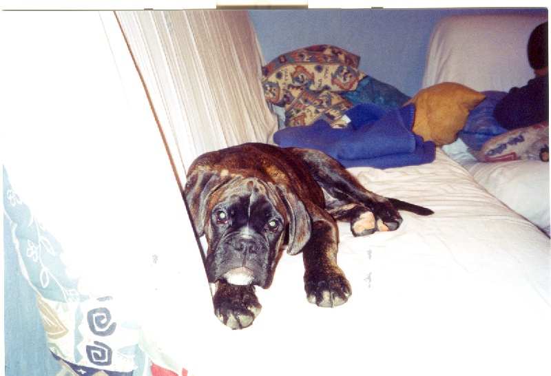 Publication : di Tagliamento