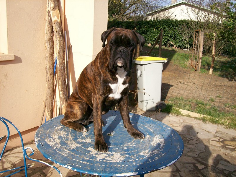 Publication : di Tagliamento