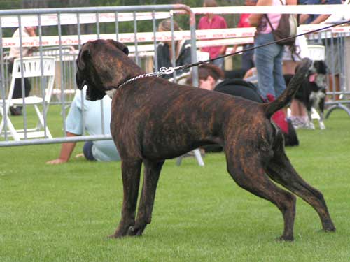 Publication : di Tagliamento