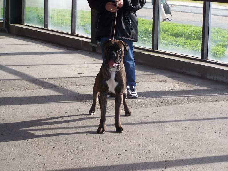 Publication : di Tagliamento