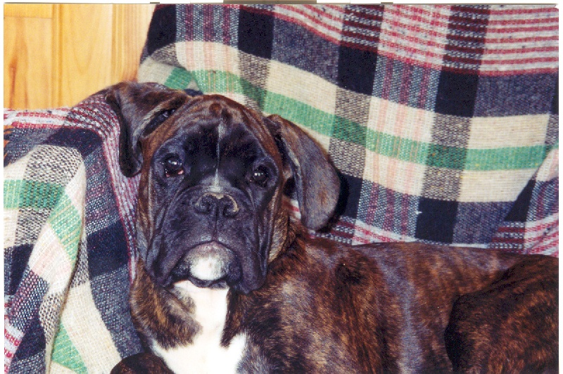 Publication : di Tagliamento