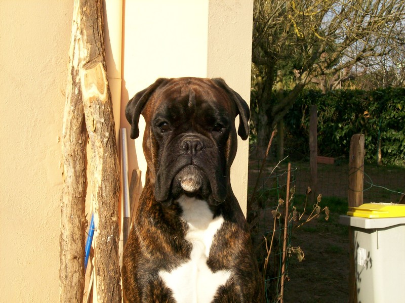 Publication : di Tagliamento