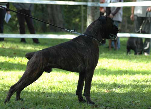 Publication : di Tagliamento