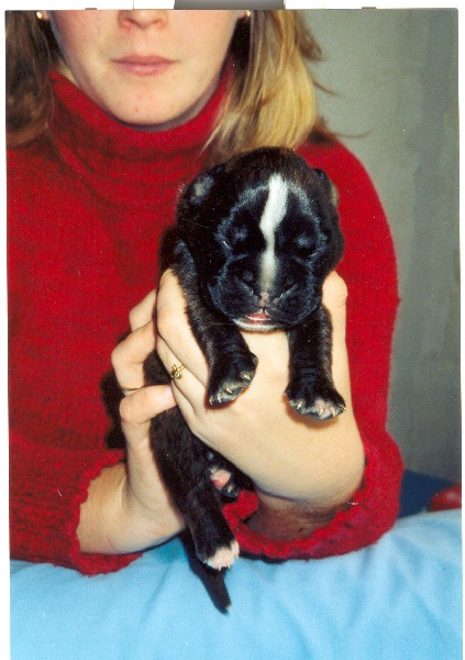 Publication : di Tagliamento