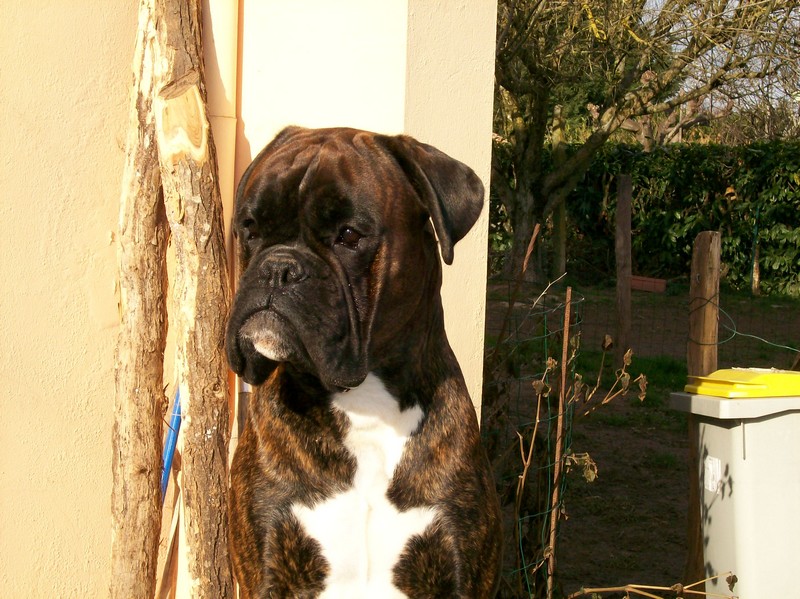 Publication : di Tagliamento