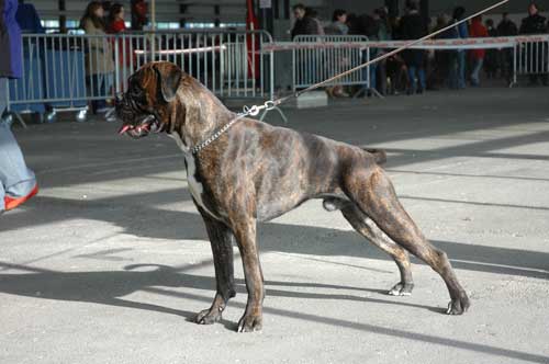 Publication : di Tagliamento