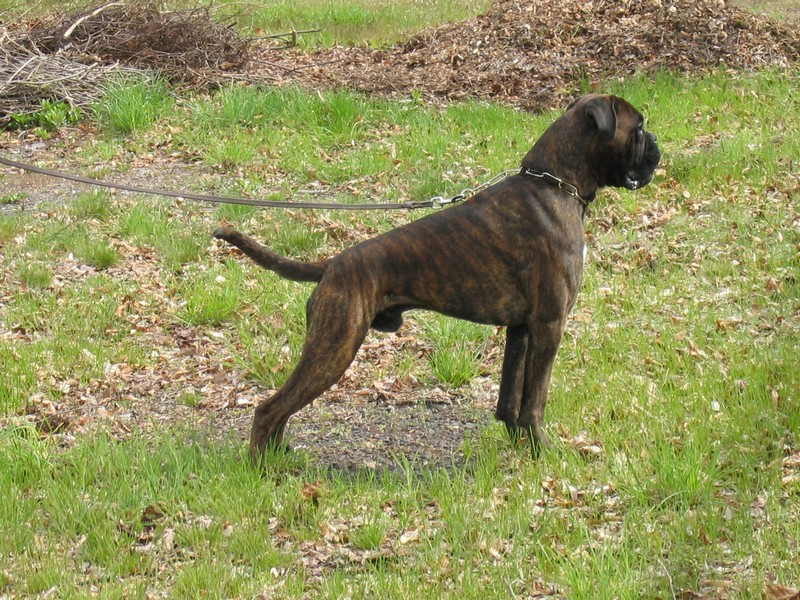 Publication : di Tagliamento