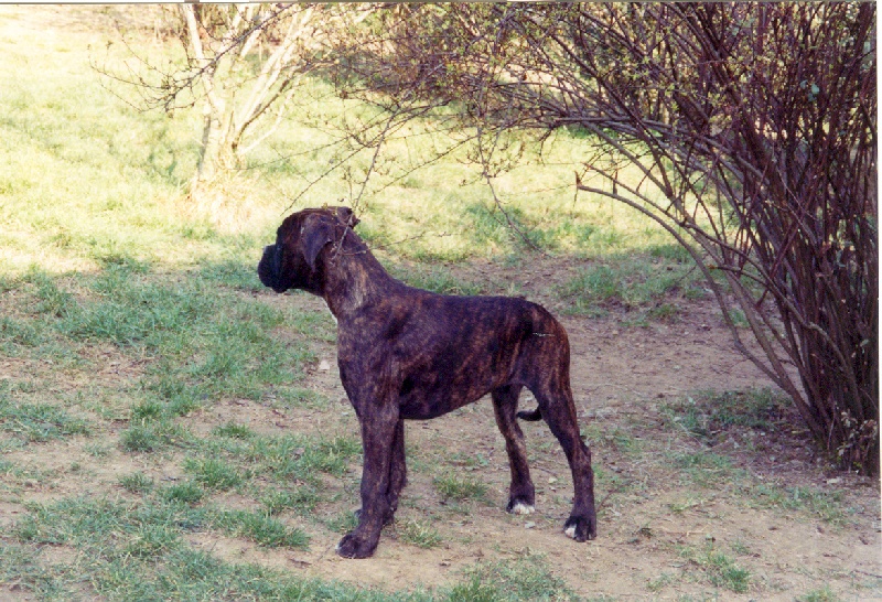 Publication : di Tagliamento