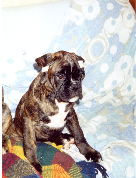 Publication : di Tagliamento