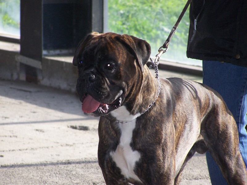 Publication : di Tagliamento