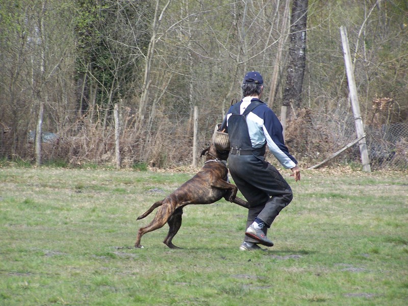 Publication : di Tagliamento