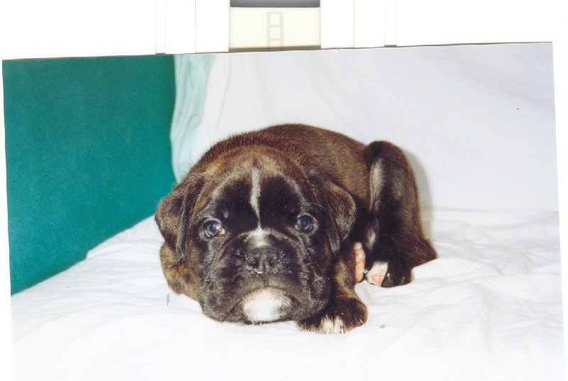 Publication : di Tagliamento