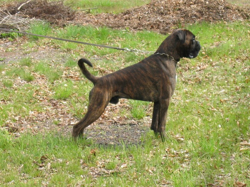 Publication : di Tagliamento