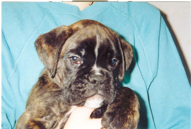 Publication : di Tagliamento