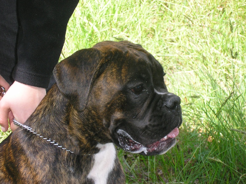 Publication : di Tagliamento