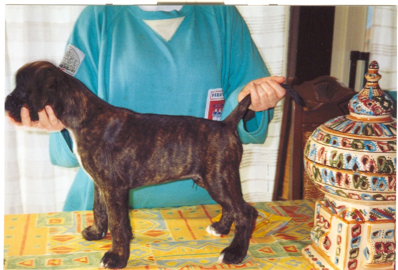 Publication : di Tagliamento