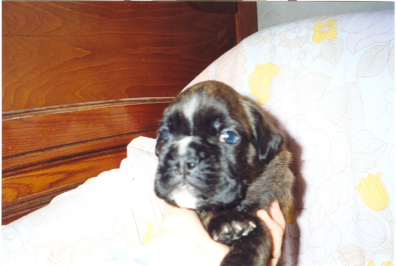 Publication : di Tagliamento