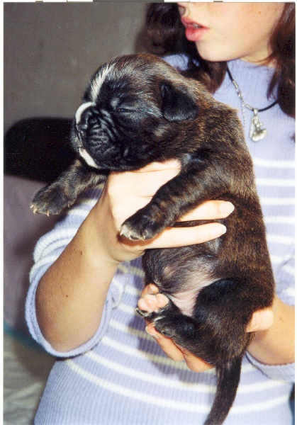 Publication : di Tagliamento