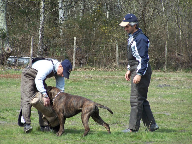 Publication : di Tagliamento