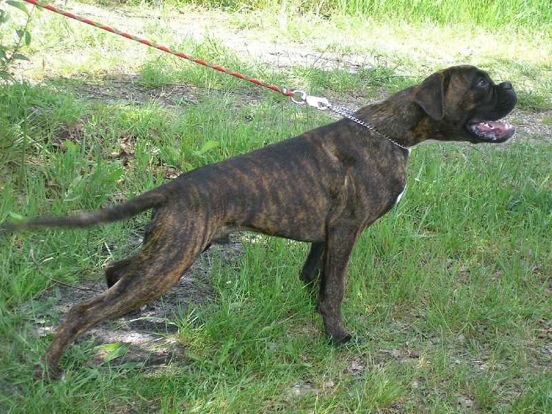 Publication : di Tagliamento