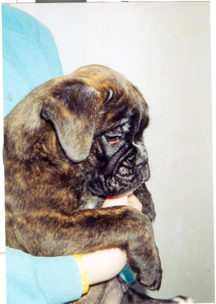 Publication : di Tagliamento