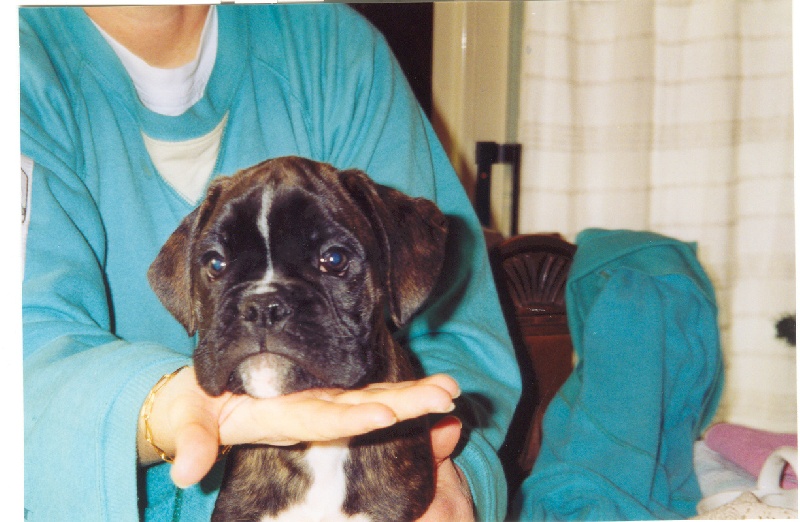 Publication : di Tagliamento