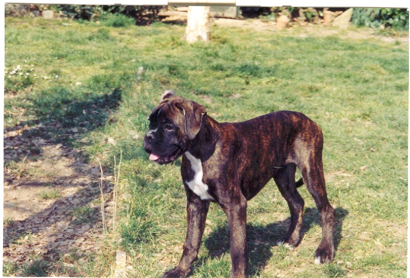 Publication : di Tagliamento