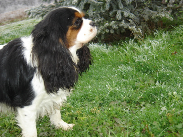 Auteur : JEANNINE LINEK