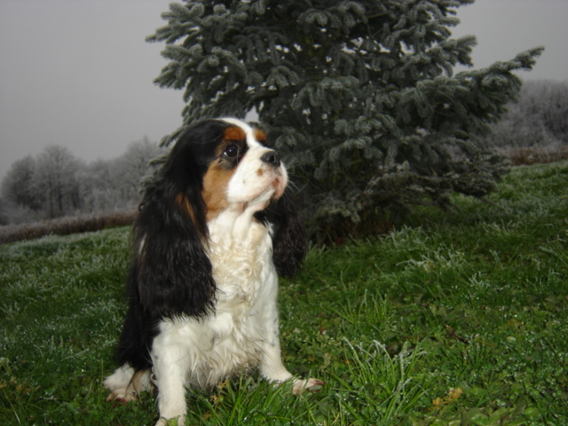 Auteur : JEANNINE LINEK