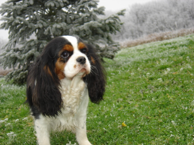 Auteur : JEANNINE LINEK