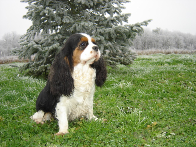 Auteur : JEANNINE LINEK