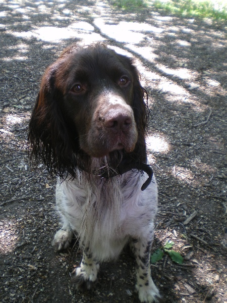 Publication : Des eaux vives