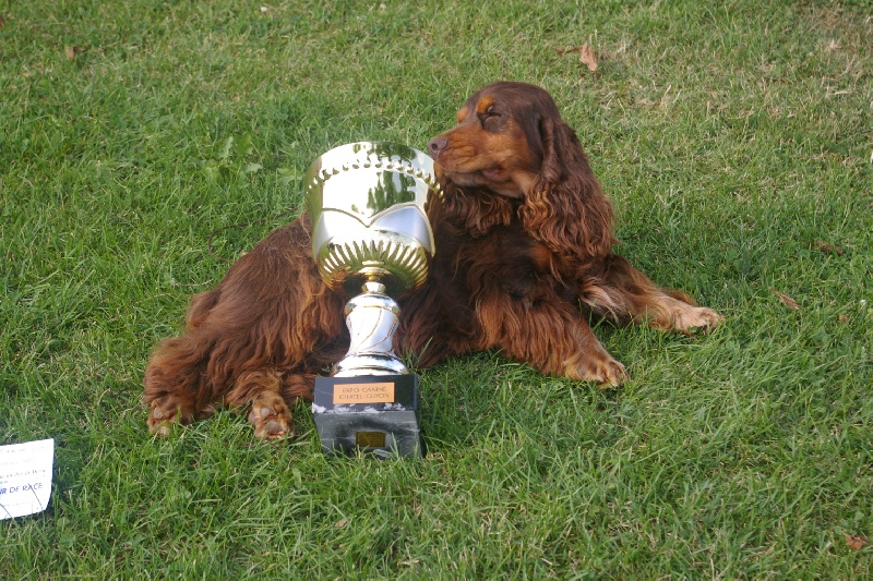 Publication : des marais de la Dombes