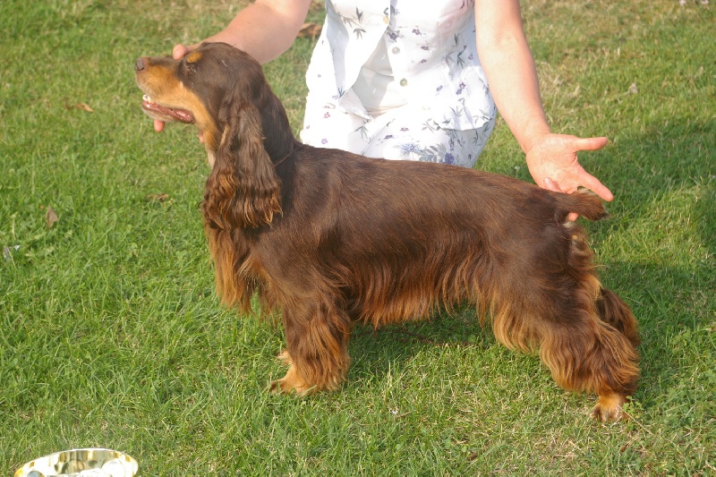 Publication : des marais de la Dombes Auteur : Les Marais de la Dombes